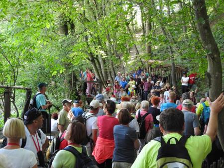 Pomlad v prleških goricah 2017 82